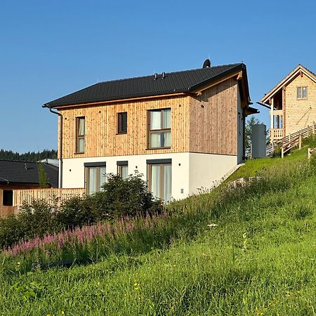 Berglisl - Direkt An Der Schipiste! Neue Ferienwohnung Mit Sauna Klippitztorl Kültér fotó