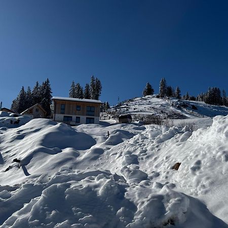 Berglisl - Direkt An Der Schipiste! Neue Ferienwohnung Mit Sauna Klippitztorl Kültér fotó